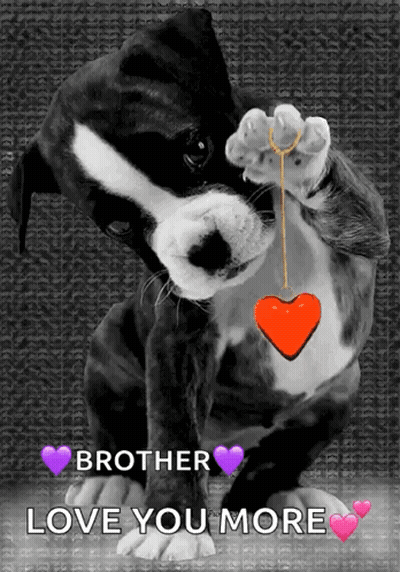 A Black And White Dog Holding A Red Heart With The Words " Brother Love You More " GIF