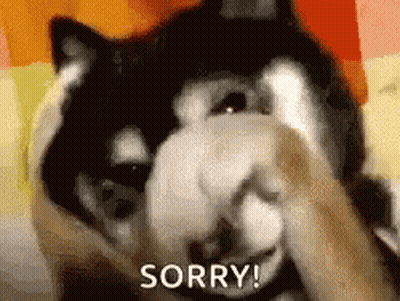 A Black And White Dog Is Covering Its Face With Its Paws And The Word Sorry Is On The Bottom . GIF