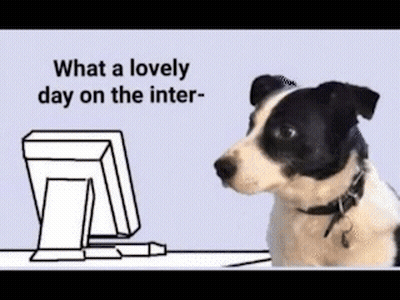 A Black And White Dog Is Sitting At A Desk In Front Of A Computer Monitor . GIF