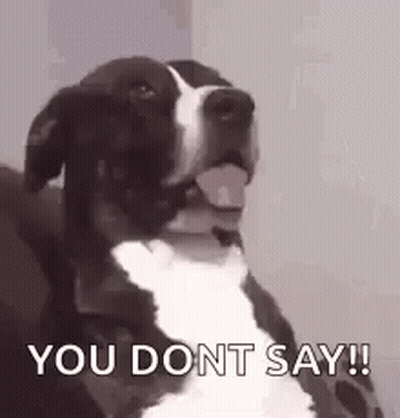 A Black And White Dog Is Sitting On A Couch And Saying `` You Dont Say '' . GIF