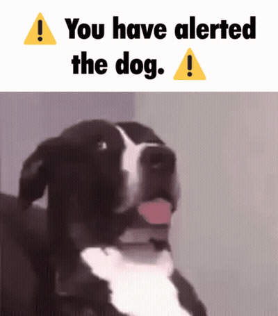 A Black And White Dog With Its Tongue Hanging Out And The Words You Have Alerted The Dog GIF