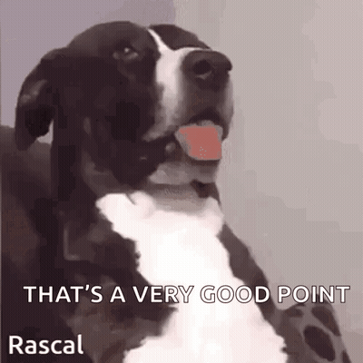 A Black And White Dog With Its Tongue Out And The Words That 'S A Very Good Point Rascal GIF