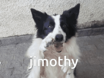 A Black And White Dog With The Name Timothy Written On The Bottom GIF
