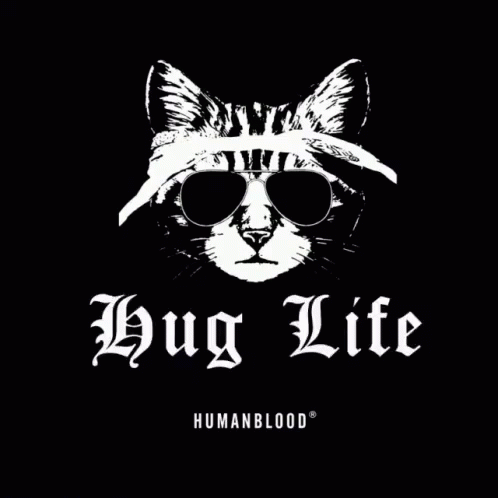A Black And White Drawing Of A Cat Wearing Sunglasses And A Bandana Says Hug Life GIF
