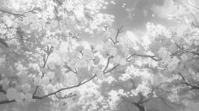 A Black And White Drawing Of A Cherry Blossom Tree With Lots Of Flowers GIF