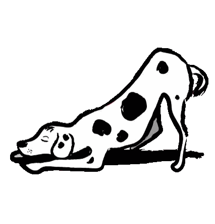A Black And White Drawing Of A Dalmatian Dog Stretching Its Legs . Sticker