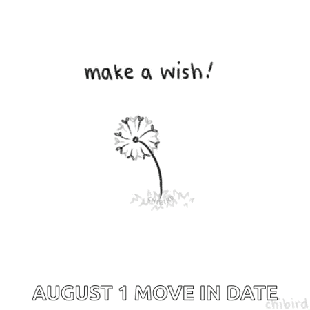 A Black And White Drawing Of A Dandelion With The Words `` Make A Wish ! '' And `` August 1 Move In Date '' . GIF