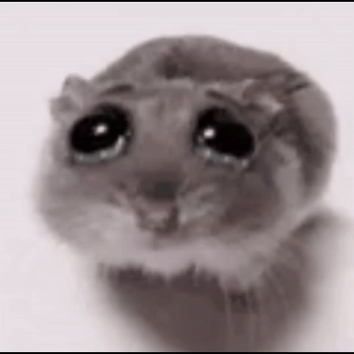 A Black And White Drawing Of A Hamster With Big Eyes . GIF