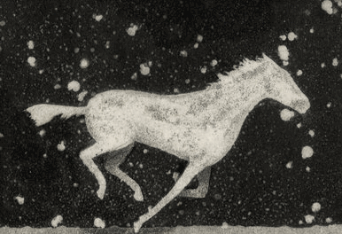 A Black And White Drawing Of A Horse Running In The Snow GIF