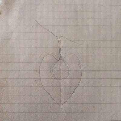 A Black And White Drawing Of A Leaf On A Piece Of Paper GIF