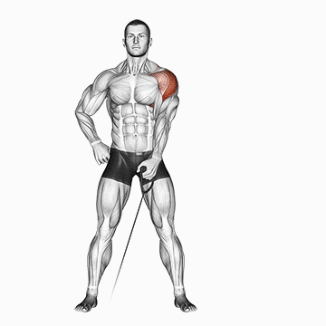 A Black And White Drawing Of A Man Doing A Shoulder Exercise With A Resistance Band . GIF