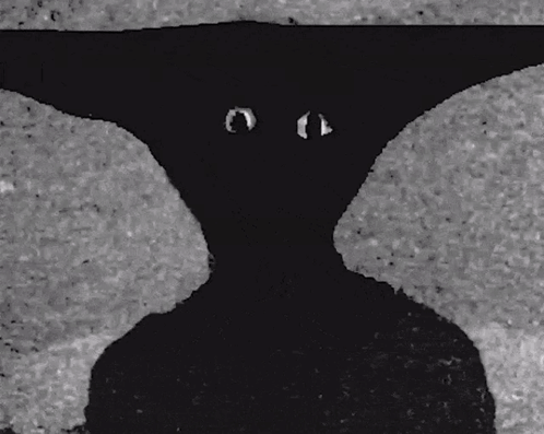 A Black And White Drawing Of A Person 'S Face With Their Eyes Visible GIF