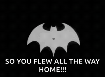 A Black And White Image Of A Batman Silhouette With The Words `` So You Flew All The Way Home ! '' GIF