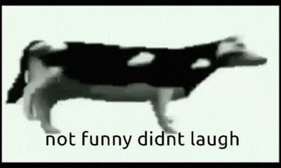 A Black And White Image Of A Cow With The Words `` Not Funny Didn 'T Laugh '' Written Below It . GIF