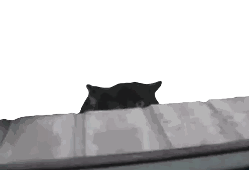 A Black And White Image Of A Person 'S Face Sticker