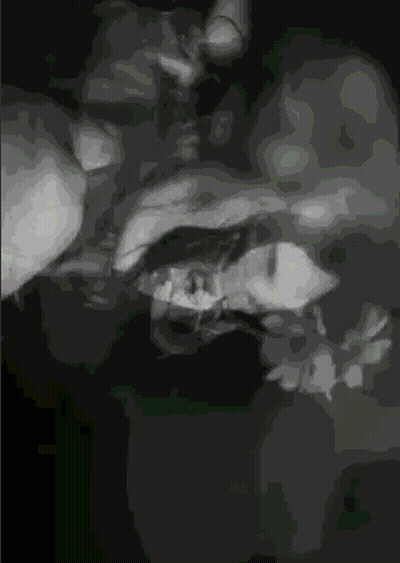 A Black And White Image Of A Person 'S Face With A Green Background GIF