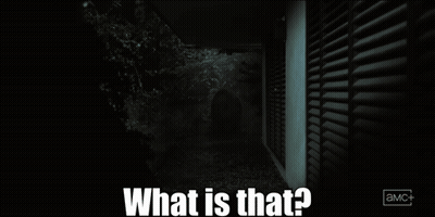 A Black And White Image With The Words What Is That On It GIF