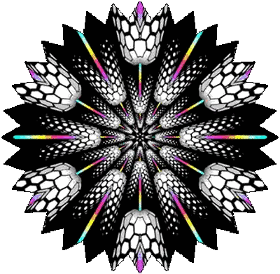 A Black And White Kaleidoscope With A Rainbow Colored Center . Sticker
