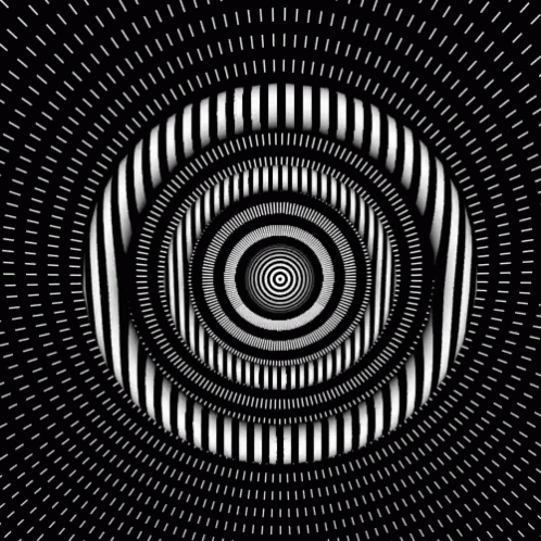 A Black And White Optical Illusion With A Circle In The Middle On A Black Background GIF