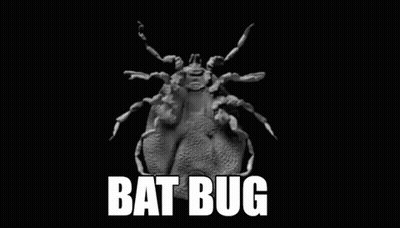 A Black And White Photo Of A Bat Bug On A Black Background With The Words Bat Bug Written On It . GIF