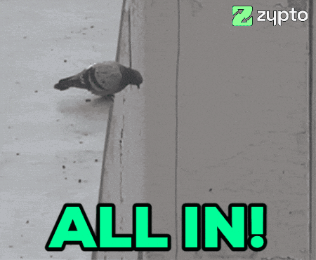 Black And White Bird With All In Text GIF
