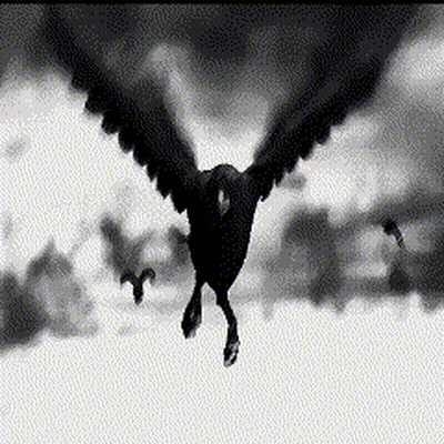 A Black And White Photo Of A Bird Flying In The Clouds GIF