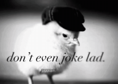 A Black And White Photo Of A Bird Wearing A Hat With The Words " Don 'T Even Joke Lad " GIF