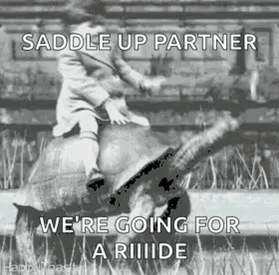 A Black And White Photo Of A Boy Riding A Turtle . GIF