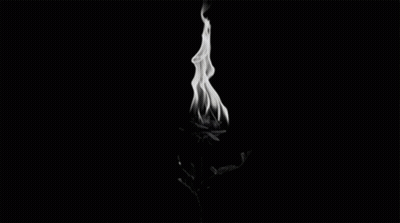 A Black And White Photo Of A Burning Flower With Smoke Coming Out Of It . GIF