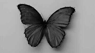 A Black And White Photo Of A Butterfly Surrounded By Lines And Dots . GIF