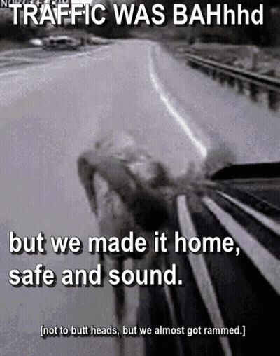 A Black And White Photo Of A Car On A Highway With The Caption Traffic Was Bahhhd But We Made It Home Safe And Sound . GIF