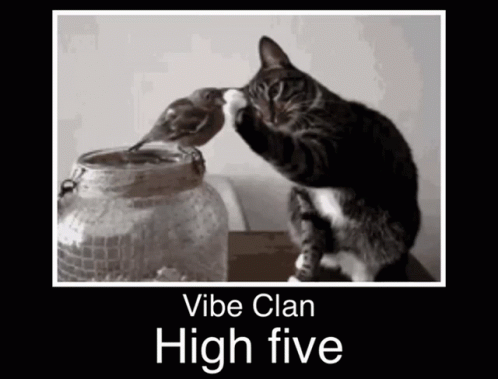 A Black And White Photo Of A Cat And A Bird With The Words Vibe Clan High Five On The Bottom GIF
