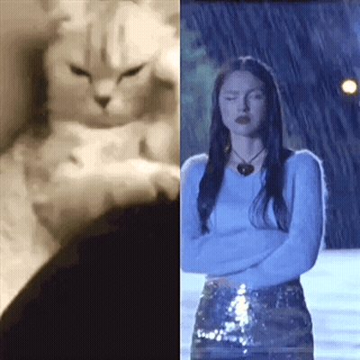 A Black And White Photo Of A Cat And A Woman With Their Arms Crossed GIF