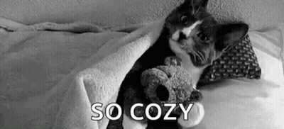 A Black And White Photo Of A Cat Laying In Bed With A Teddy Bear . GIF