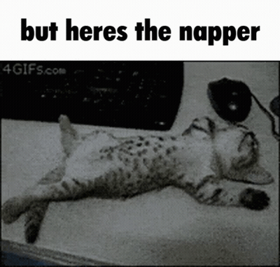 A Black And White Photo Of A Cat Laying On A Table With The Caption But Heres The Napper GIF