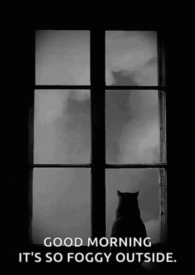 A Black And White Photo Of A Cat Looking Out A Window With The Caption Good Morning It 'S So Foggy Outside . GIF