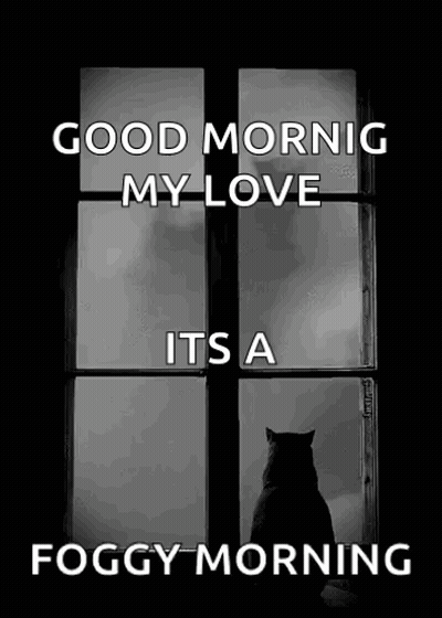A Black And White Photo Of A Cat Looking Out A Window With The Words `` Good Morning My Love Its A Foggy Morning '' . GIF