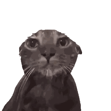 A Black And White Photo Of A Cat Looking Up Sticker