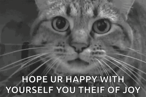 A Black And White Photo Of A Cat 'S Face With The Words `` Hope Ur Happy With Yourself You Theif Of Joy '' . GIF
