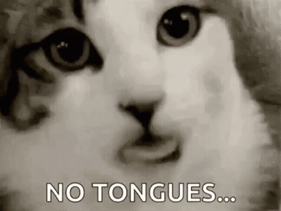 A Black And White Photo Of A Cat 'S Face With The Words `` No Tongues ... '' Written On It . GIF