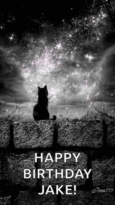 A Black And White Photo Of A Cat Sitting On A Stone Wall Looking At The Stars . GIF