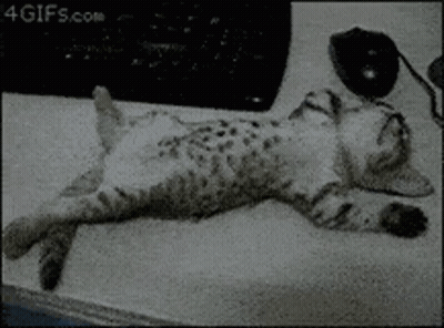 A Black And White Photo Of A Cat Sleeping On A Desk GIF