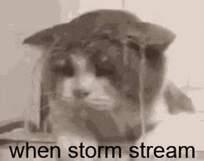A Black And White Photo Of A Cat Wearing A Hat With The Words `` When Storm Stream '' Written On It . GIF