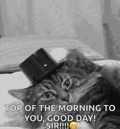 A Black And White Photo Of A Cat Wearing A Top Hat GIF