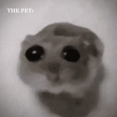A Black And White Photo Of A Cat With The Caption " The Pet " Above It GIF