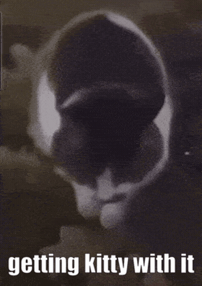 A Black And White Photo Of A Cat With The Words Getting Kitty With It GIF