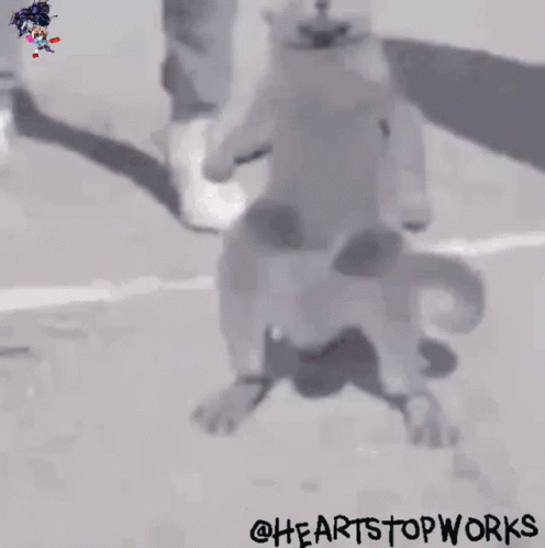 A Black And White Photo Of A Cat With The Words " @Heartstopworks " On The Bottom Right GIF