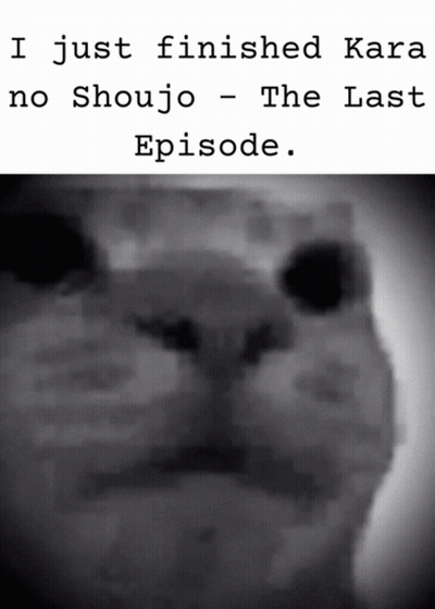 A Black And White Photo Of A Cat With The Words " I Just Finished Kara No Shoujo - The Last Episode " Below It GIF