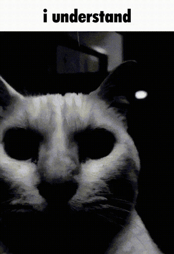 A Black And White Photo Of A Cat With The Words I Understand Below It GIF