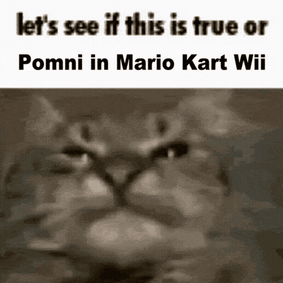 A Black And White Photo Of A Cat With The Words Let 'S See If This Is True Or Pommi In Mario Kart Wii GIF